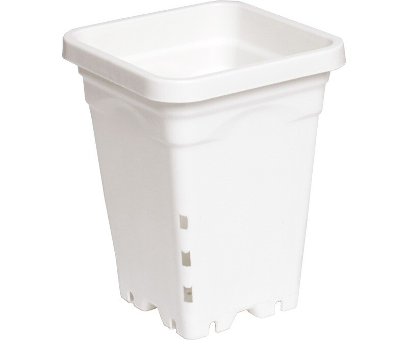 5 5"x 5" Square White Pot, 7" Tall CS (100pc)