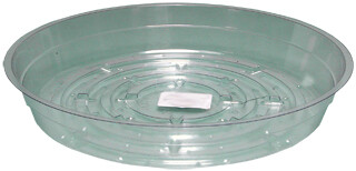 Clear 6 inch Saucer, pack of 25 (1EA = 1 PK) Clear 6 inch Saucer, pack of 25 (1EA = 1 PK)