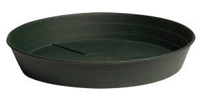 Green Premium Saucer 8 Green Premium Saucer 8", pack of 25