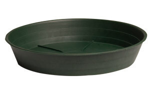 Green Premium Saucer 16 Green Premium Saucer 16", pack of 10