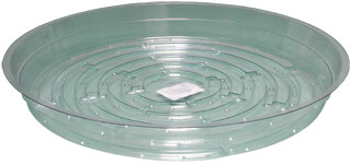 Clear 10 inch Saucer, pack of 25