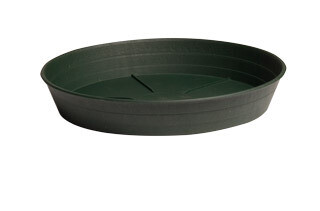 Green Premium Saucer 10 Green Premium Saucer 10", pack of 25