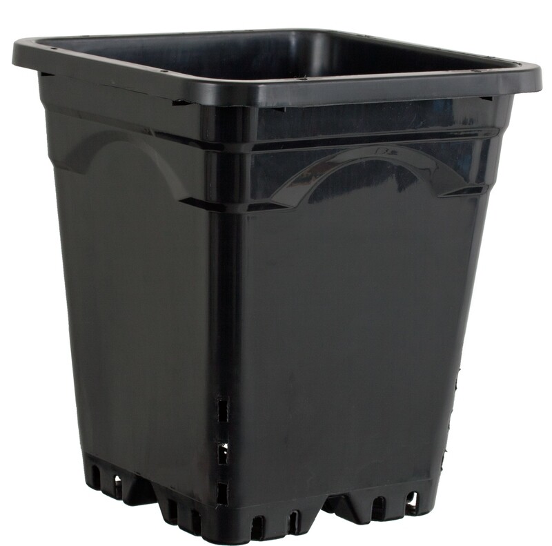 9 9"x9" Square Black Pot 10" Tall CS (24pcs)