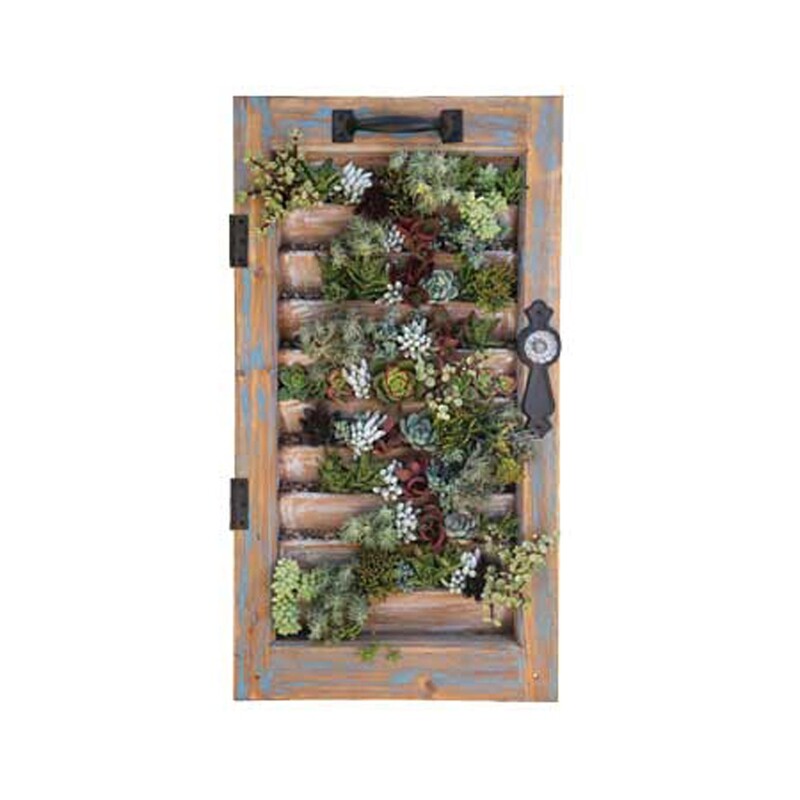 Succulent Window Shutter - 16 Succulent Window Shutter - 16" X 28"