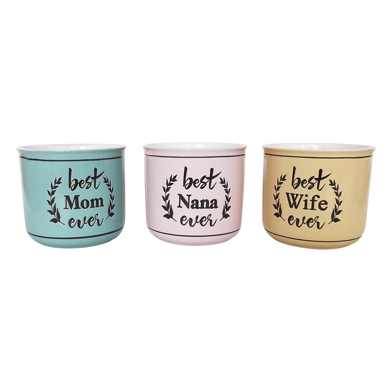 Best Ever Camp Planters 5'', 3 Asst Colours Best Ever Camp Planters 5'', 3 Asst Colours