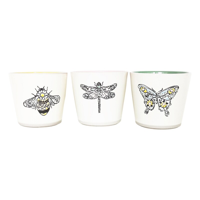 Goldminc Insect Planters 5'', 3 Asst Colours Goldminc Insect Planters 5'', 3 Asst Colours