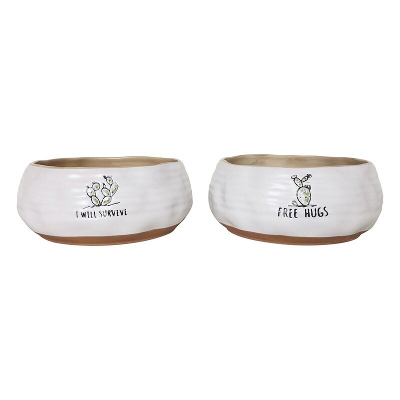 Love Your Cactus Planters 7''