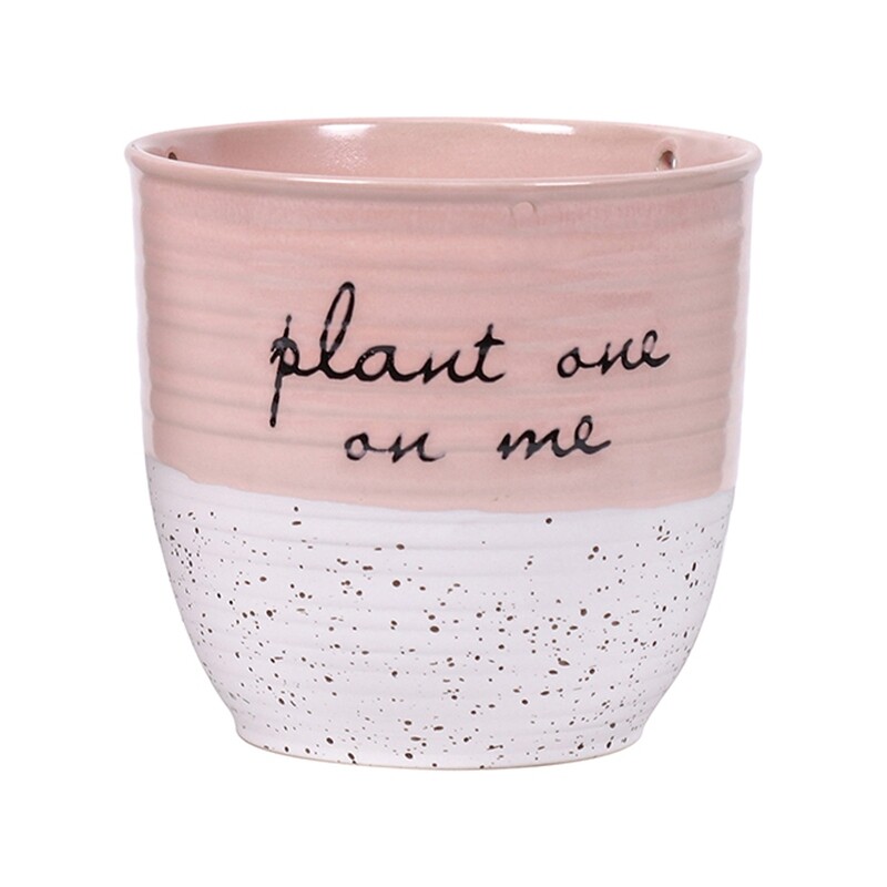 Hanging Patricia 5" Flower Pot