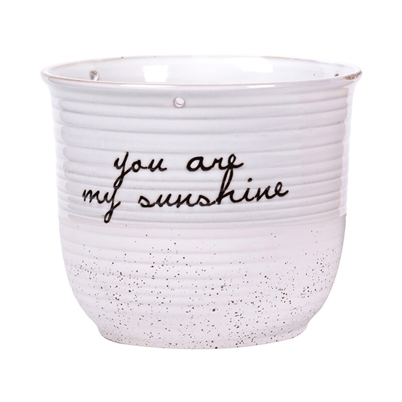 Patricia 6.5" Flower Pot