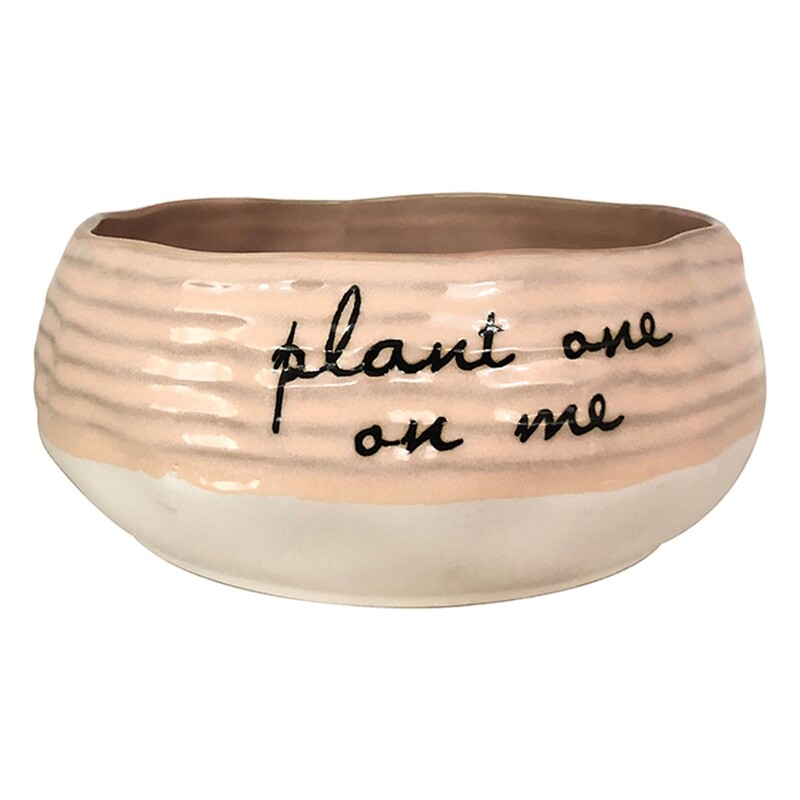 Patricia 7" Broad Planter