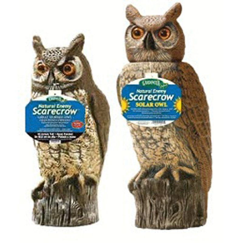 Mixed Owl Disp (Ow6=15/Rho-4=15) 30Pcs Mixed Owl Disp (Ow6=15/Rho-4=15) 30Pcs