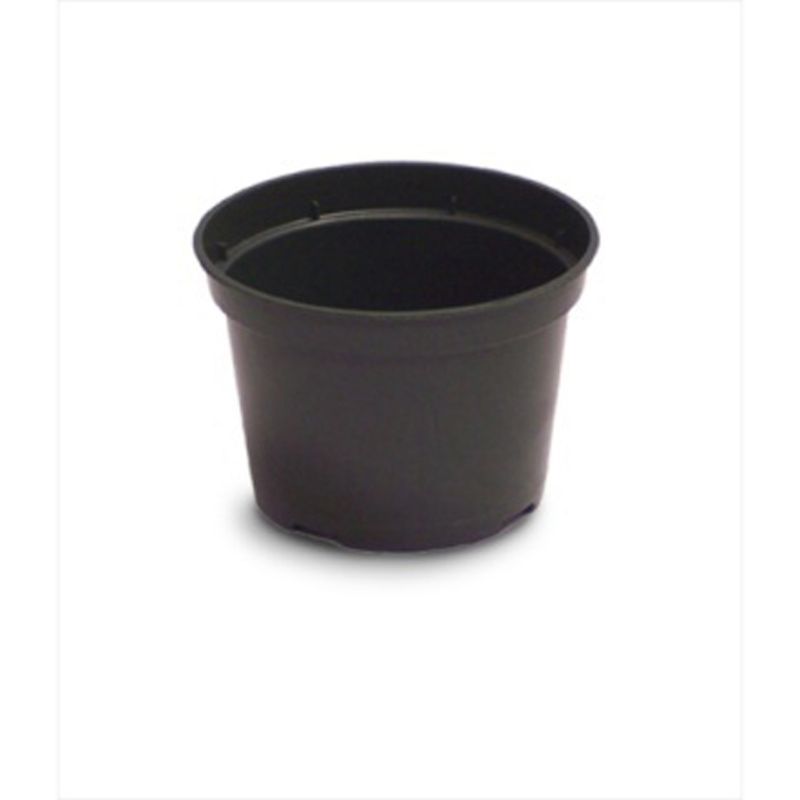 4" Azalea Elite Plastic Pot Green