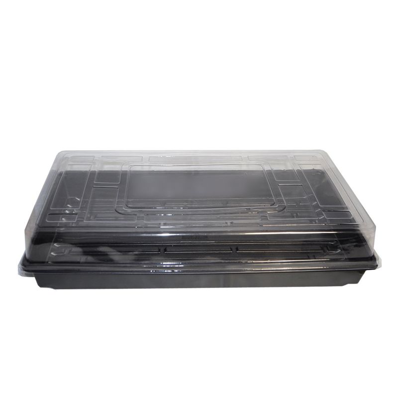 Propagation Tray w/ no holes 10x20 127g 55x28x6cm