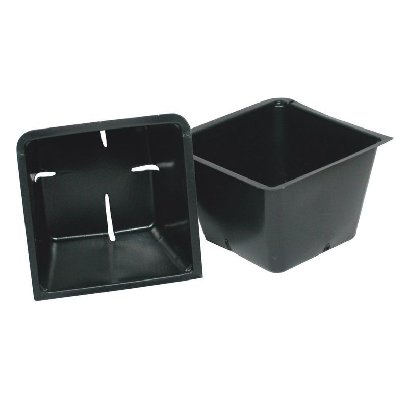 Propagation Insert 3601-36cell CS (100) Propagation Insert 3601-36cell CS (100)