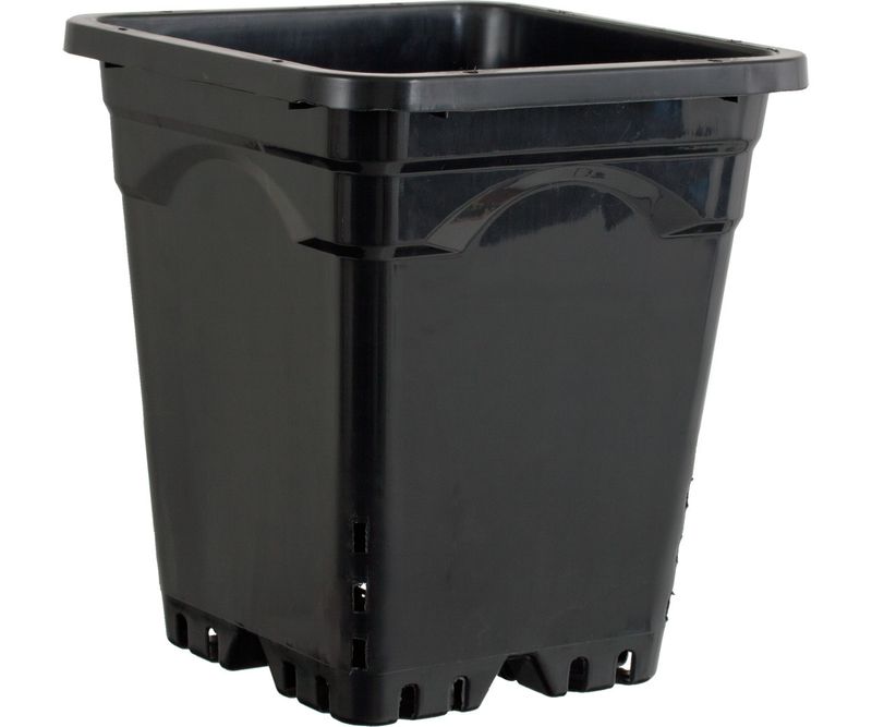 12 12"x12" Square Black Pot 12" Tall, 24 per case