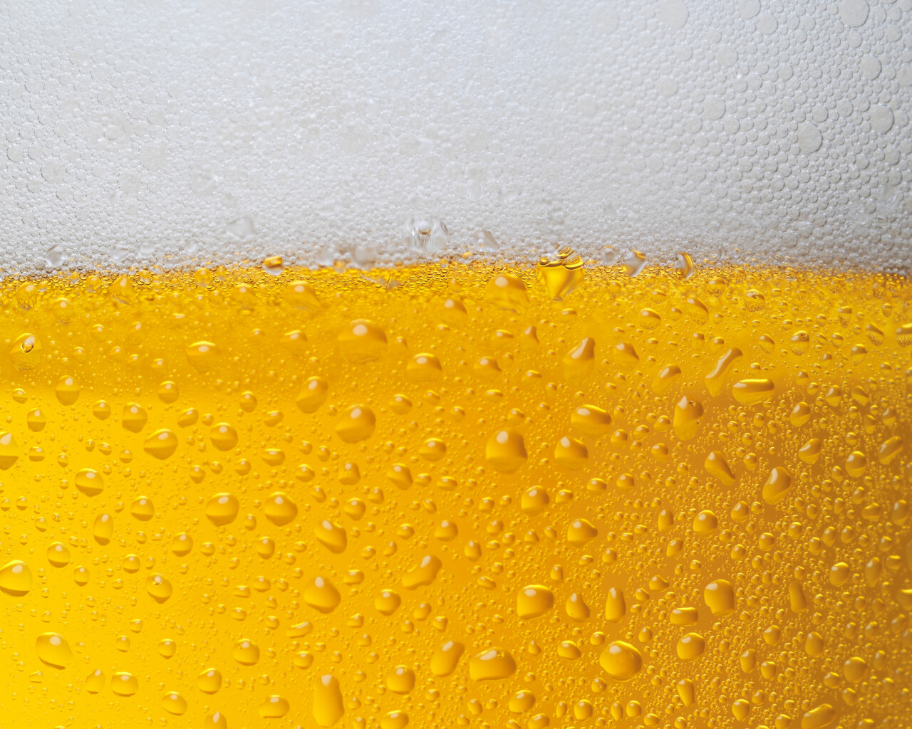 Cerveza