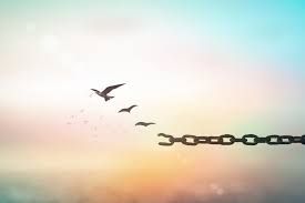 New Beginnings