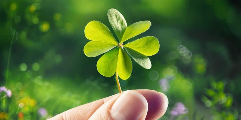 Luck