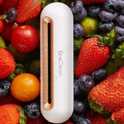 Refrigerator Deodorizing Disinfection Machine