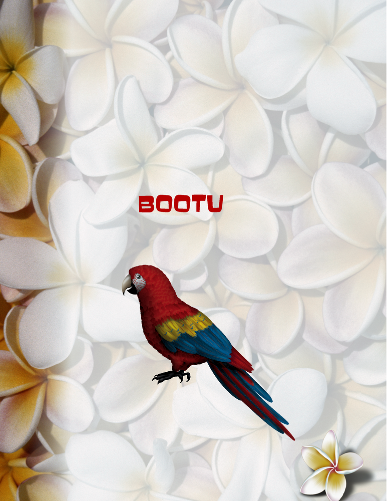 Bootu Poster - 8.5" x 11"