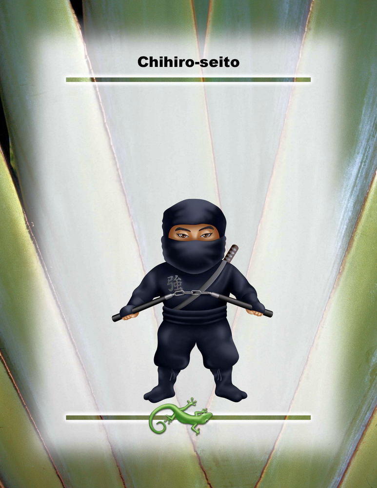 Chihiro-seito Poster - 8.5" x 11"