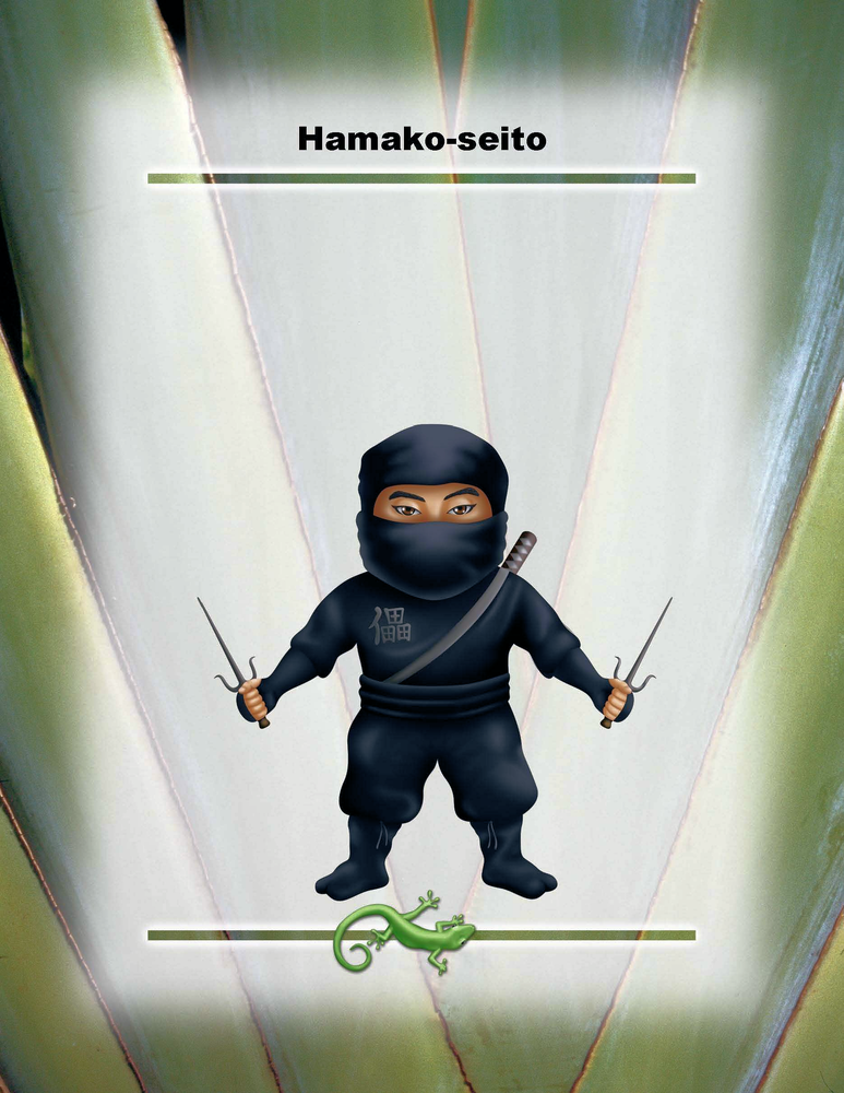 Hamako-seito Poster 8.5" x 11"