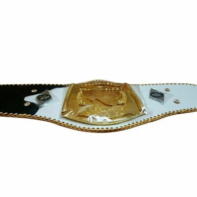 The southwest Wrestling Championship Replica Belt 2mm plates