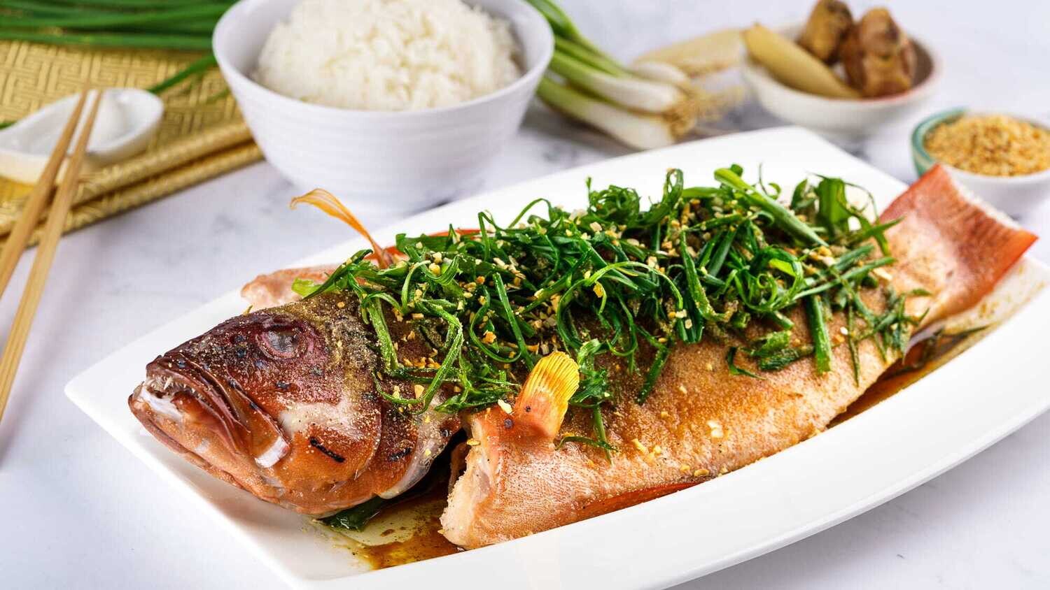 Fish