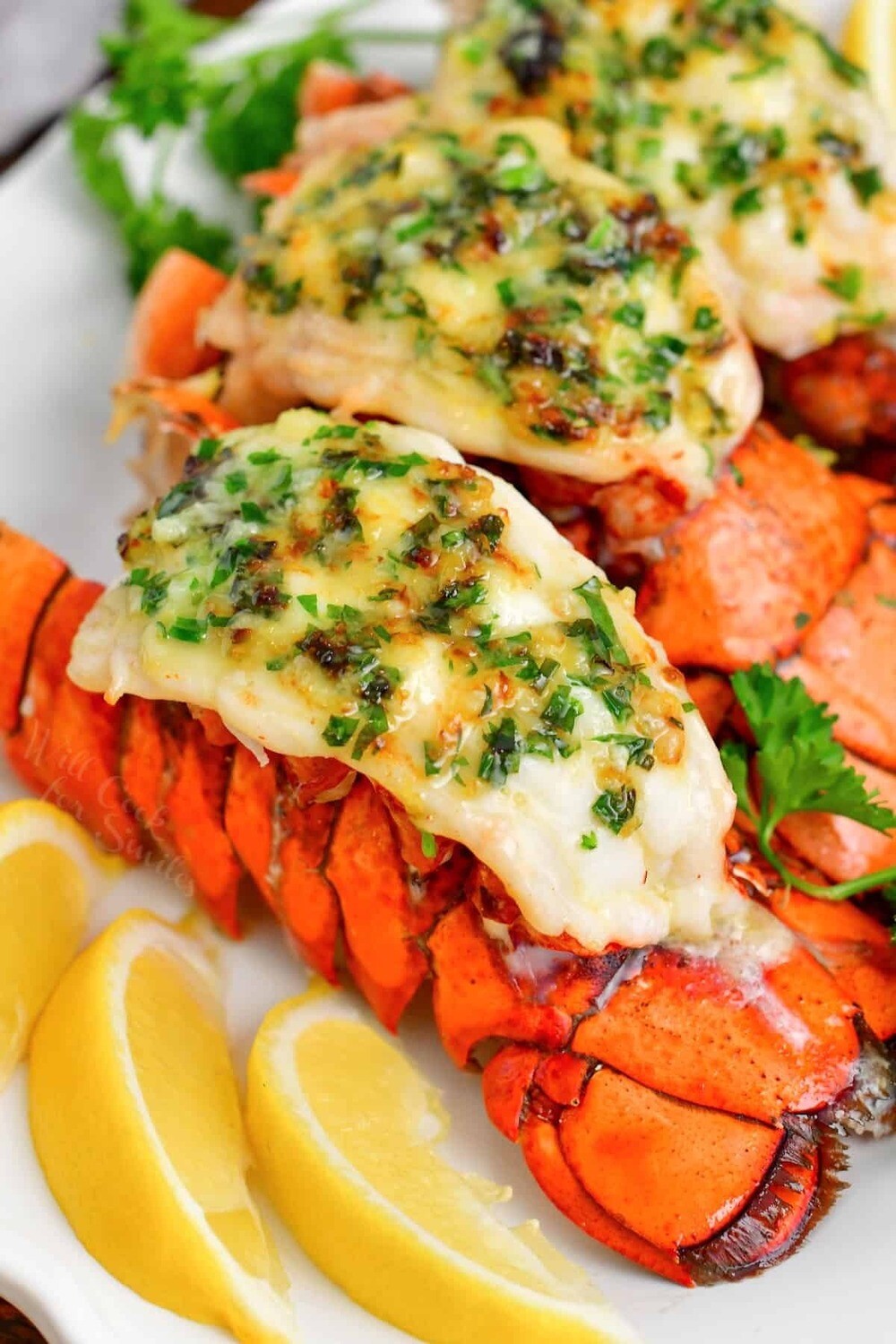 Lobster