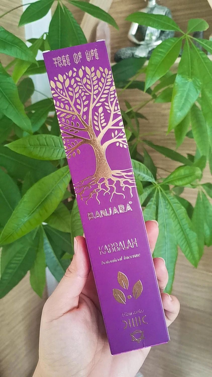 Incienso Kabbalah higuera