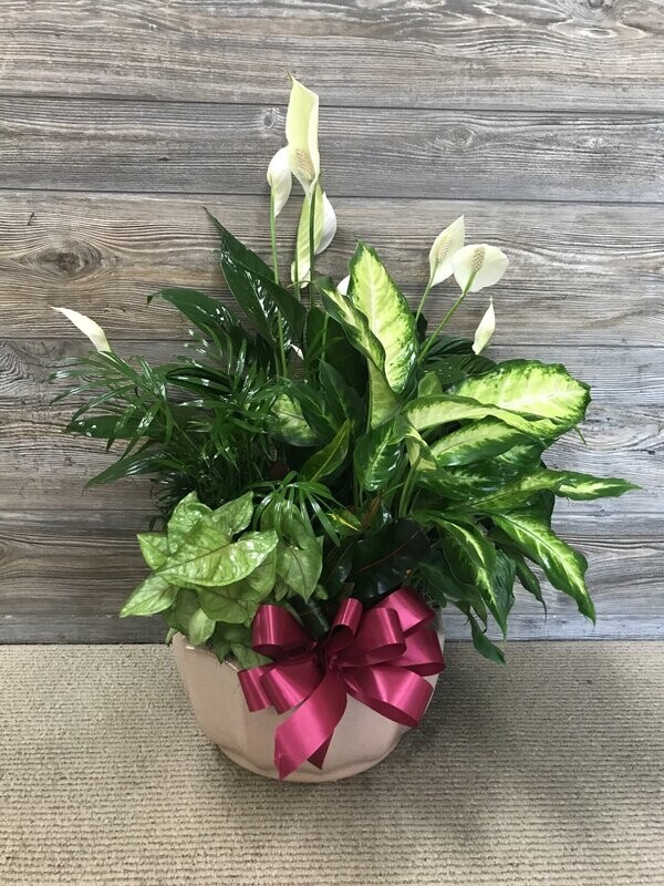 Planter