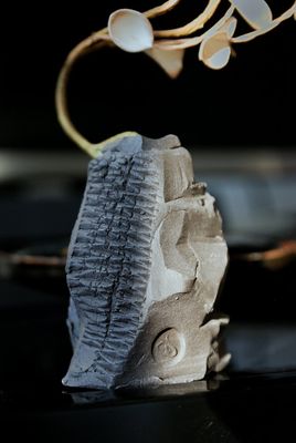 R​ustic Charm Carved Vase