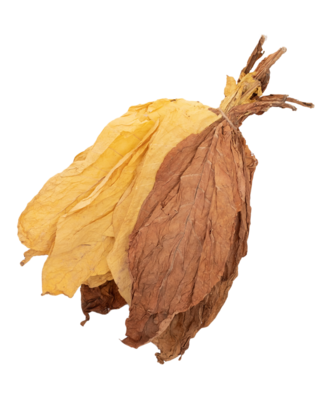 Tobacco series