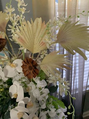 Orchids Delight