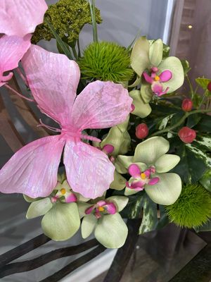 Loving Butterflies
