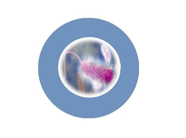 Legionella Risk Assessment