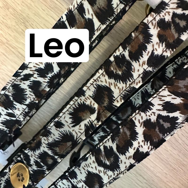 Brustgeschirr Leo