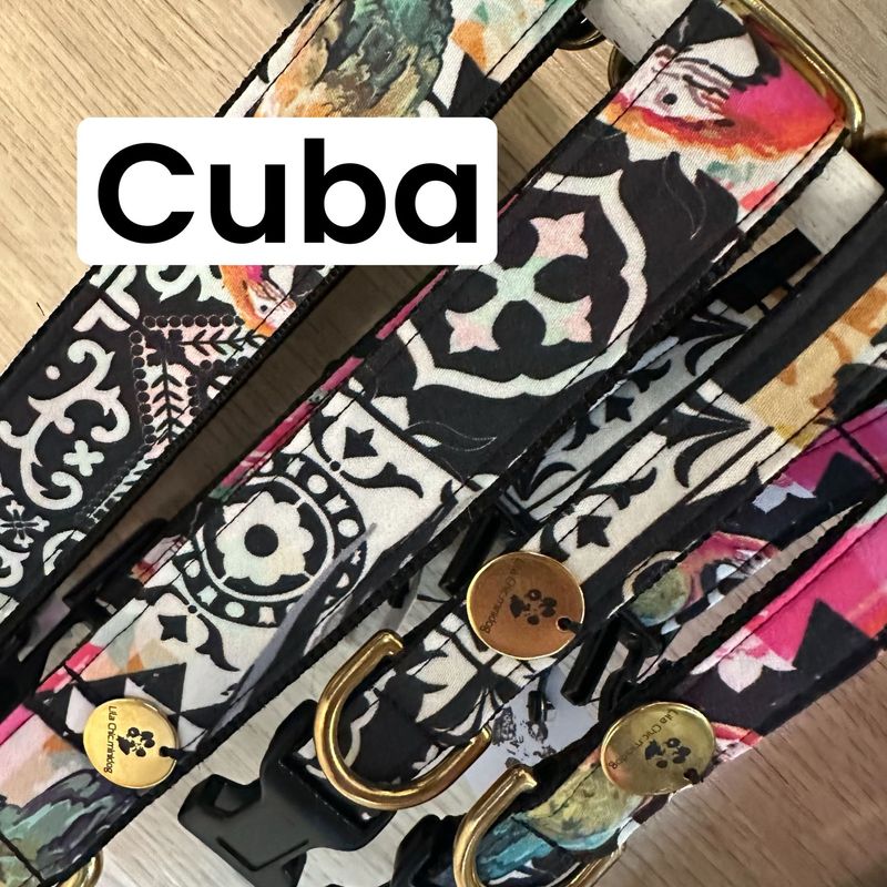 Brustgeschirr Cuba