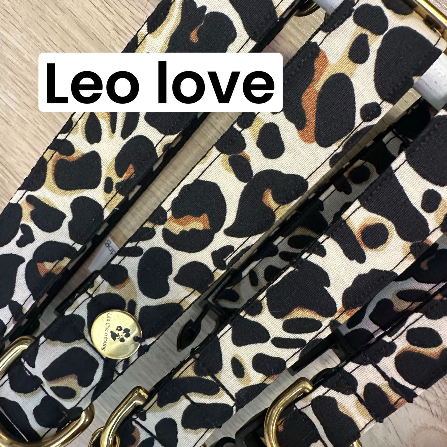 Brustgeschirr Leo Love