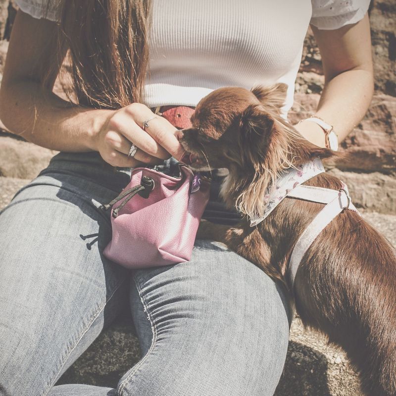 Leckerlibeutel – Kunstleder