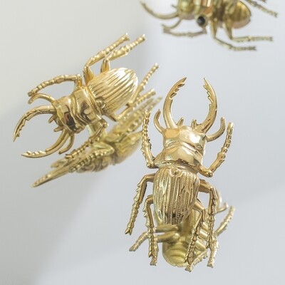 Gold brass stag beetle bug cabinet pull