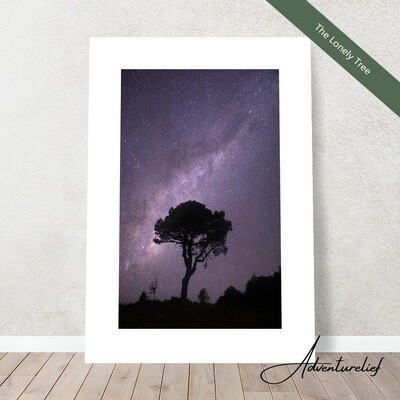 Night Sky
