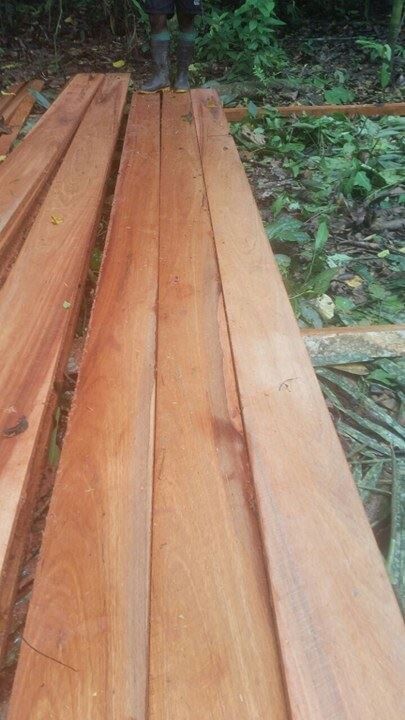 HARDWOOD NEW GUINI PHIL. TRADING CO. LTD. Papua New Guinea