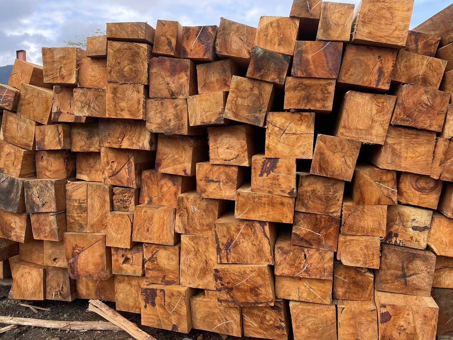 Rosewood flitches Papua New Guinea