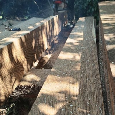 Zebra wood