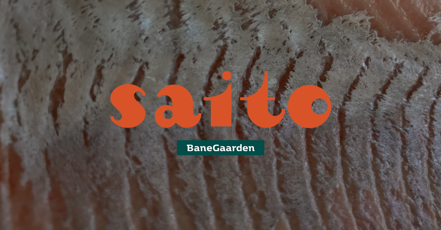 Saito pop-up på BaneGaarden – 29. juli kl. 18