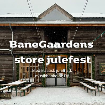 BaneGaardens store julefest