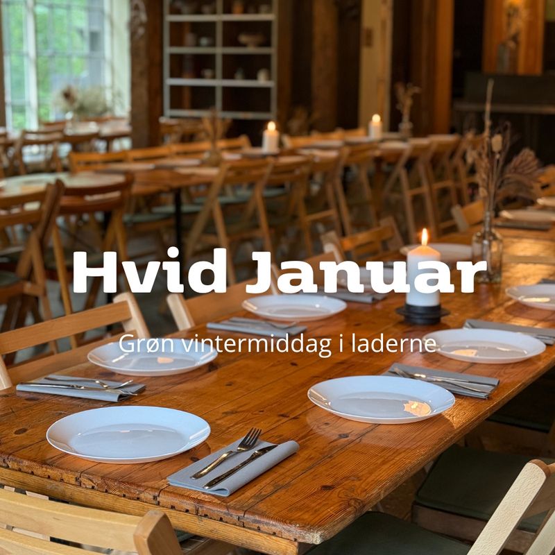 Hvid Januar - Grøn vintermiddag i laderne