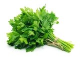 Fresh Italian Parsley Bunch   بقدونس اخضر طازج