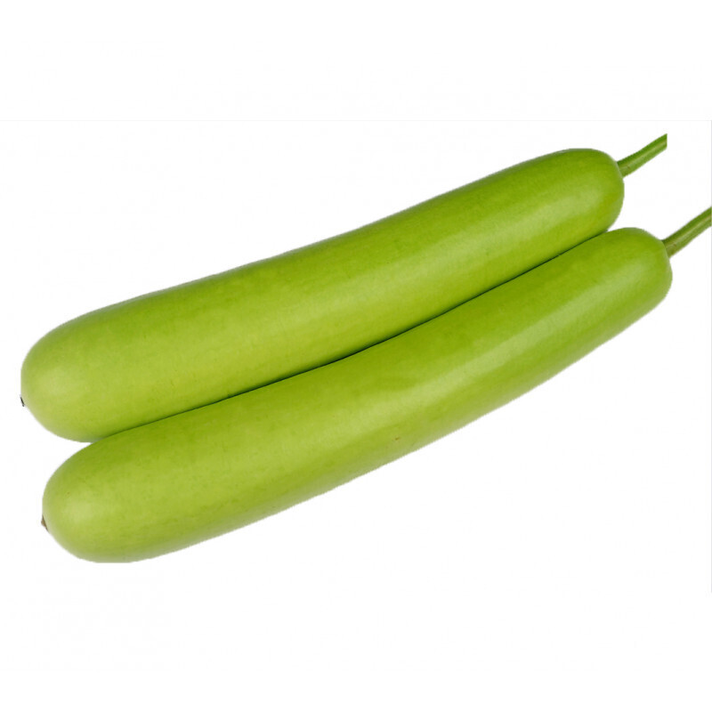 Long Squach "Bottle Gourd"  قرع طويل اخضر